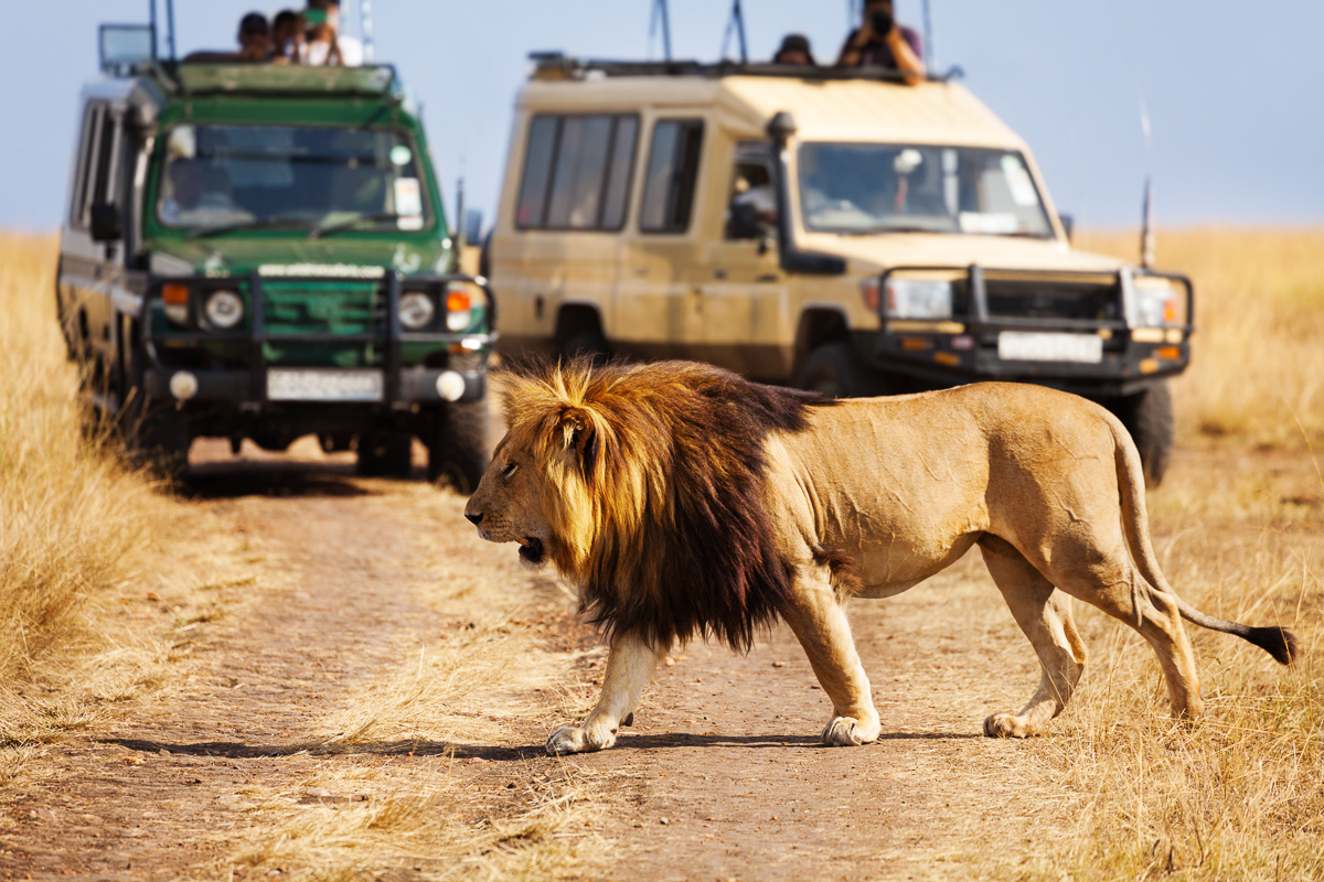 6 sites et expériences incontournables au Kenya