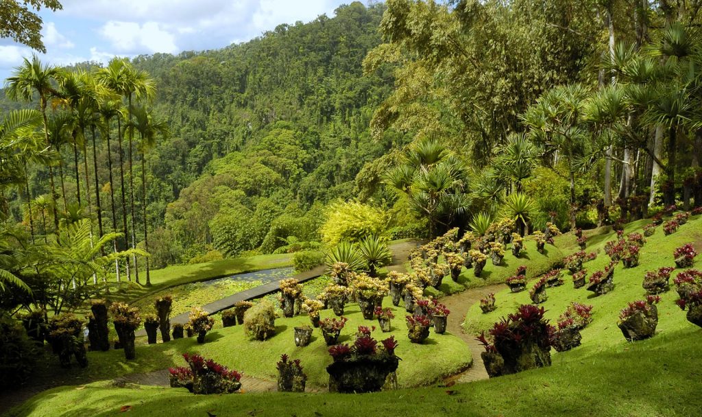 8 sites incontournables à la Martinique